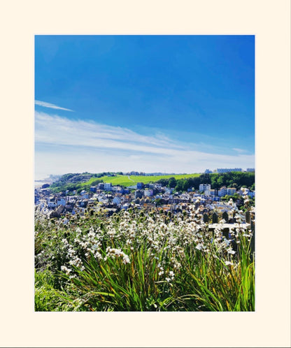 Flowers- Hasting