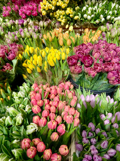 Columbia Road-Flowers