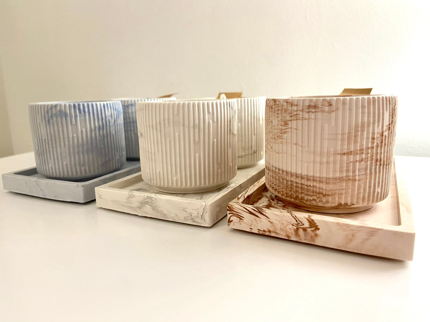 The Light Collection