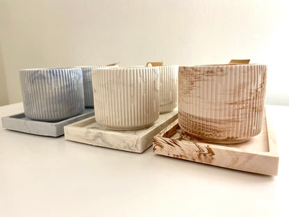 The Light Collection