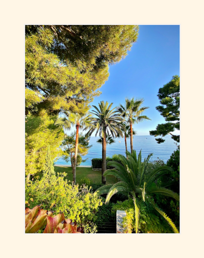 Èze -  Palm Trees