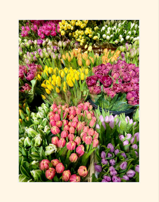 Columbia Road- Beautiful Flowers