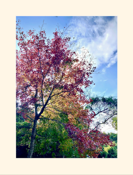 Hong Kong - Autumn
