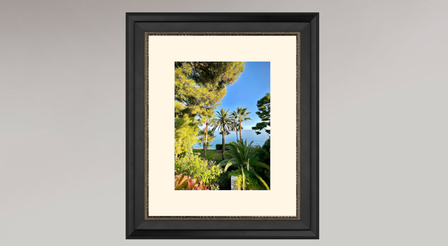 Èze -  Palm Trees