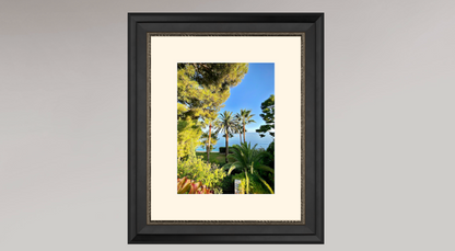 Èze -  Palm Trees