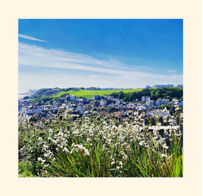 Flowers- Hasting