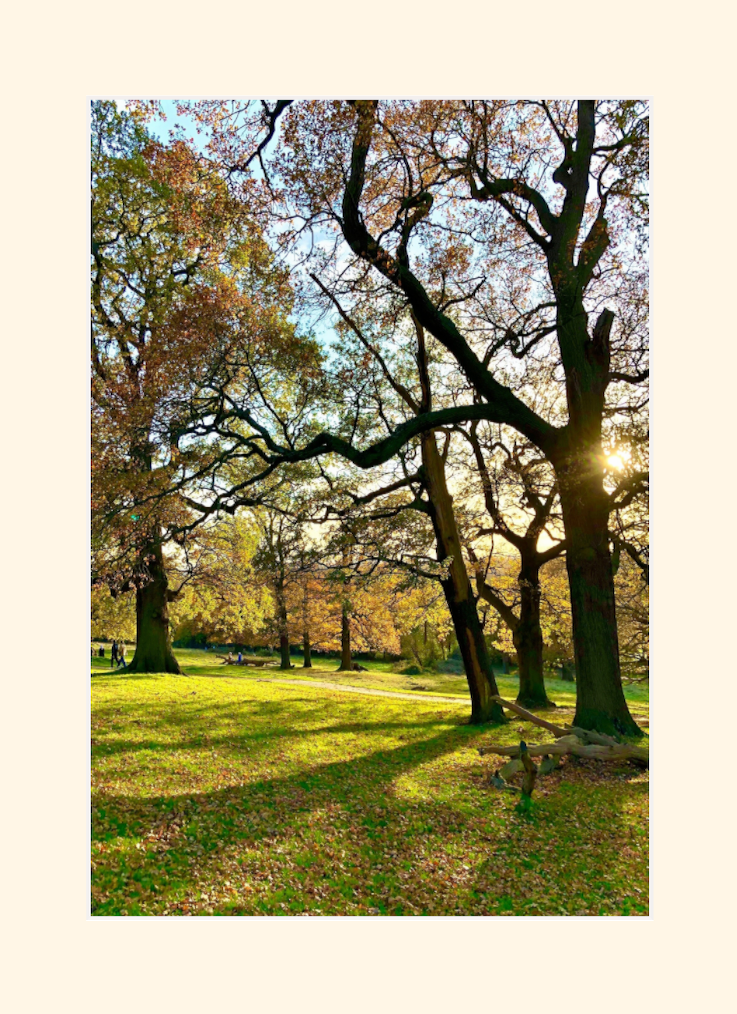 Richmond Park