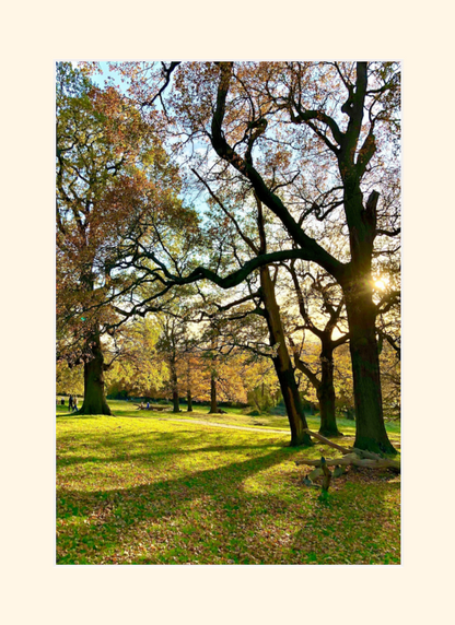 Richmond Park