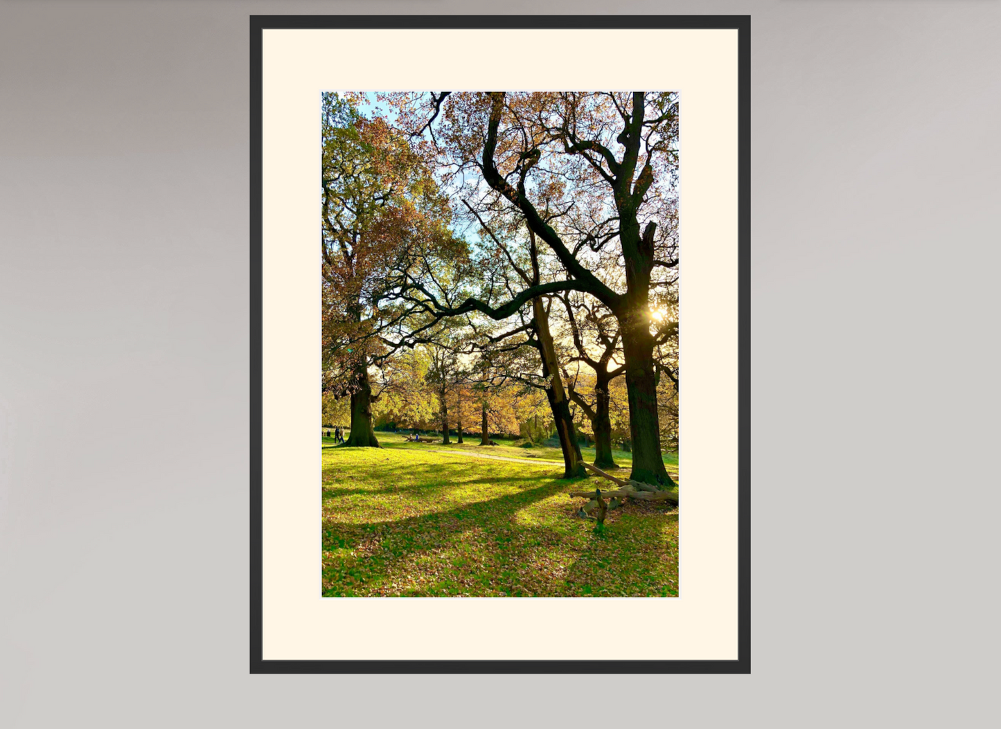 Richmond Park
