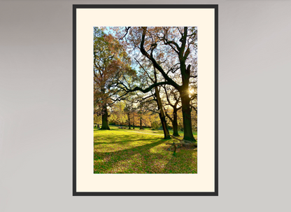 Richmond Park