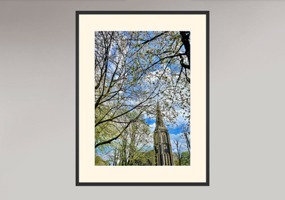 Turnham Green - Church
