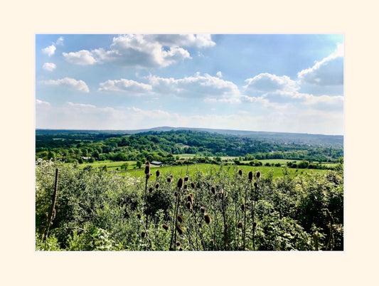 Dorking - Flowers