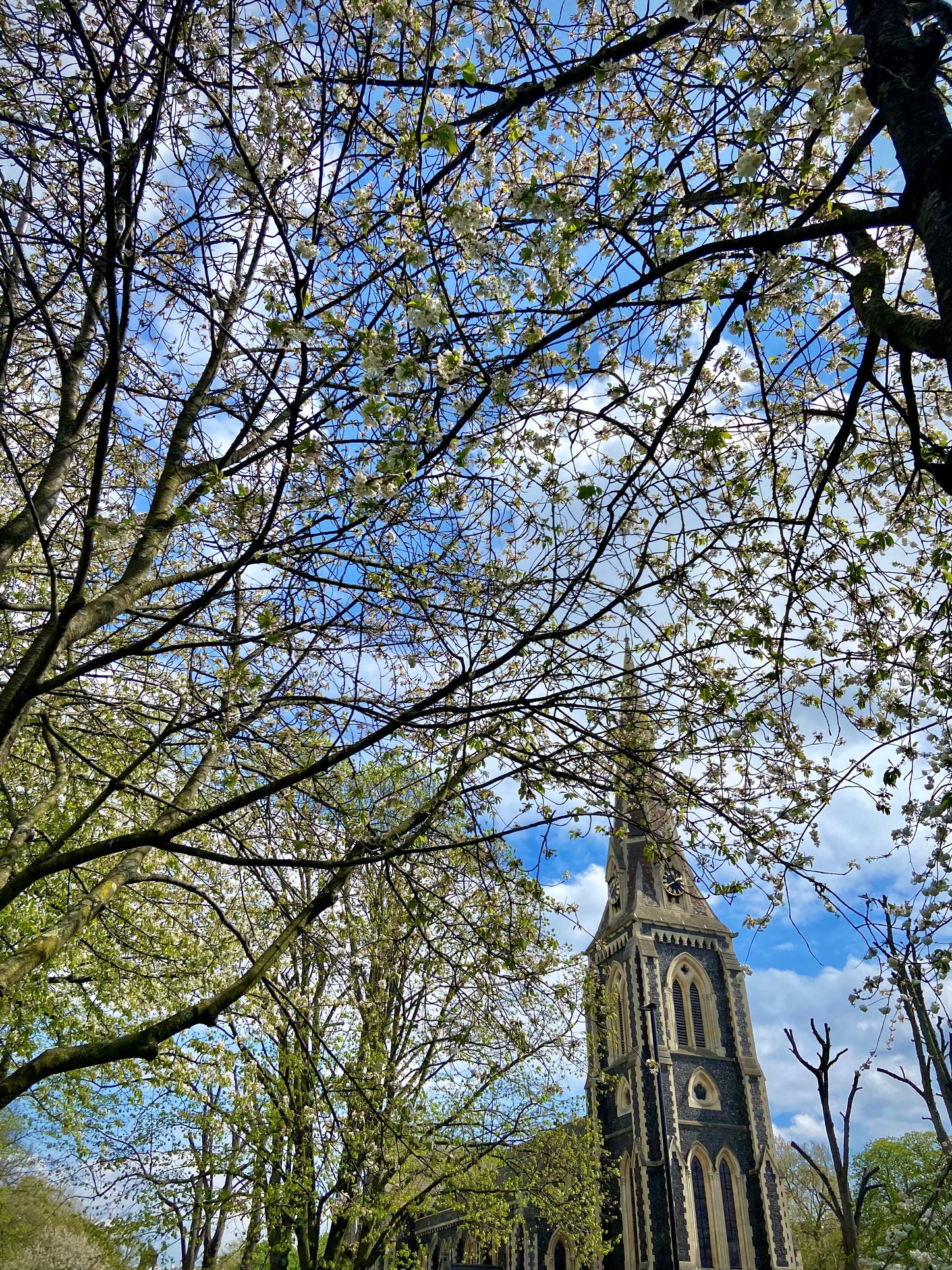 Turnham Green - Church